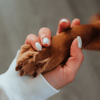 Small product frame graphic for website design