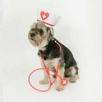 Decorative product frame graphic