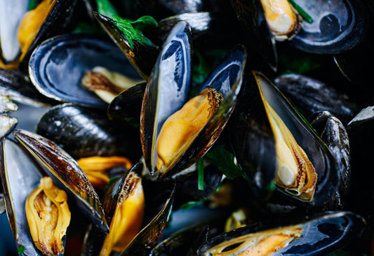 Green Lipped Mussel for Dogs: Genuine Joint Superfood or Just Hype?