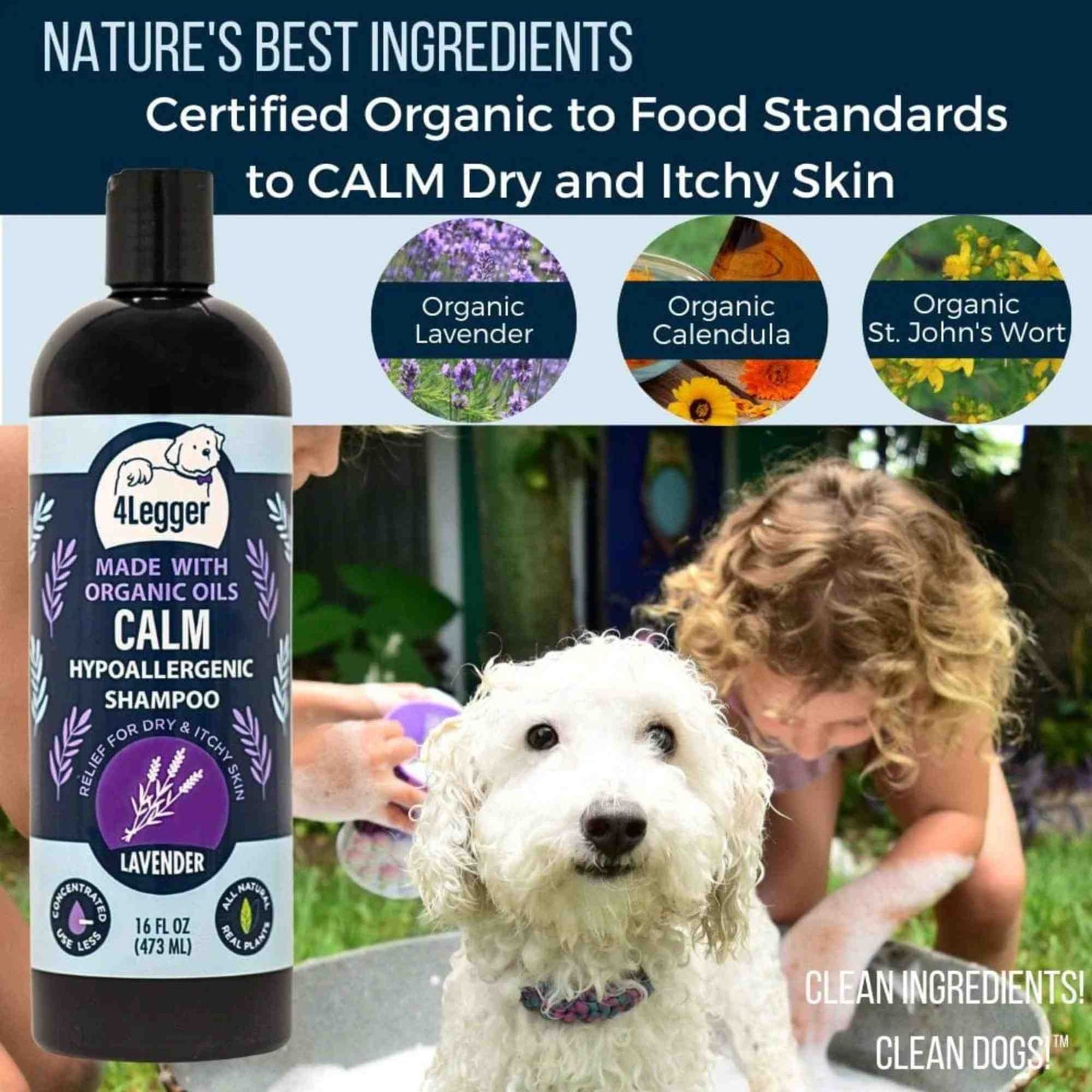 Organic dog shampoo, lavender and calendula formula for dogs