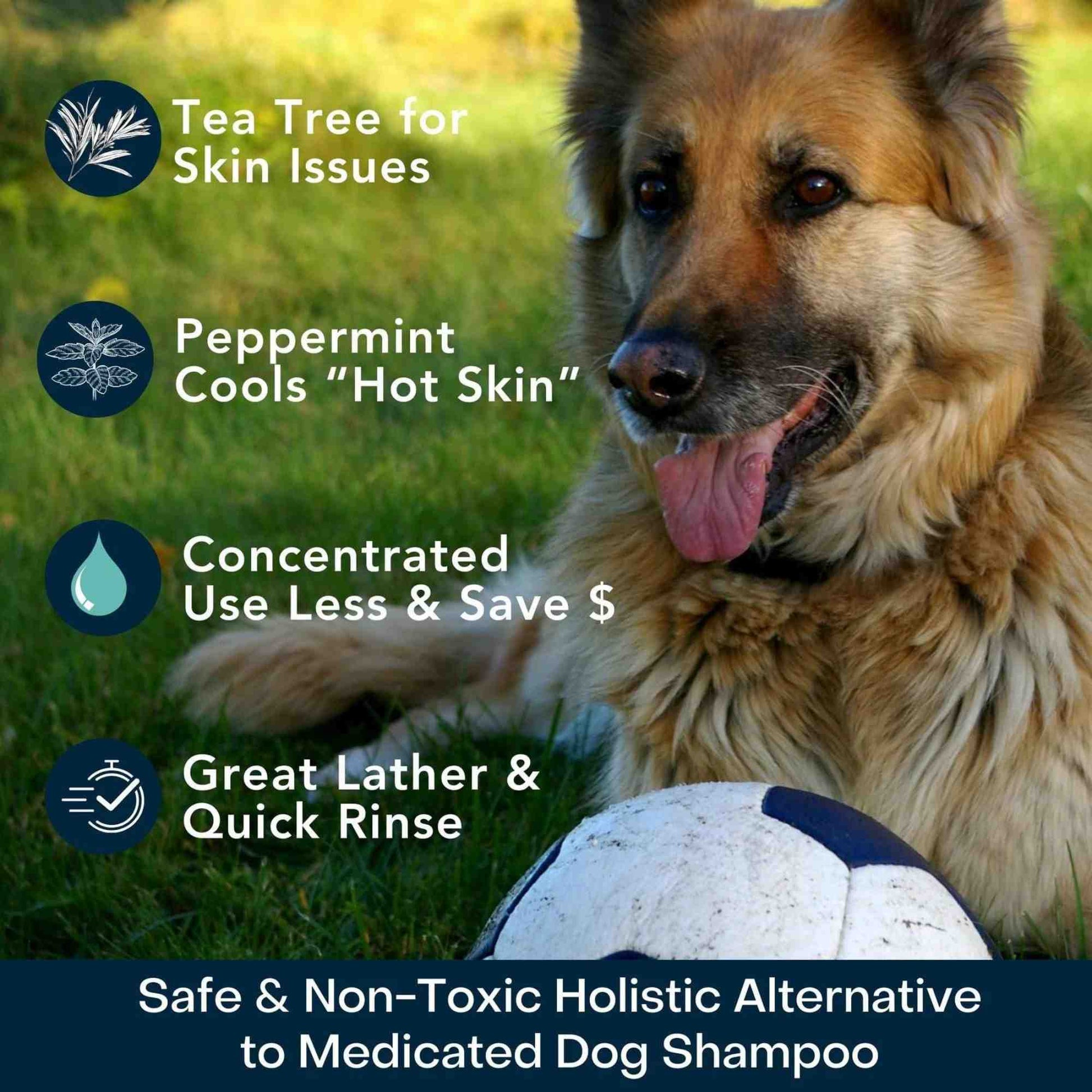 4-Legger cooling organic tea tree oil and peppermint dog shampoo, benefits