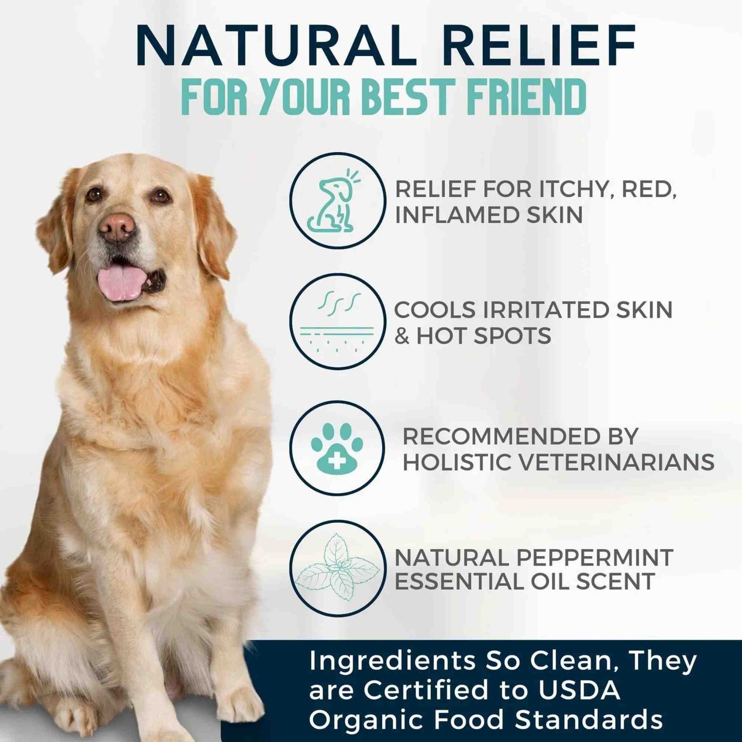 Health benefits of 4-Legger cooling organic tea tree oil shampoo