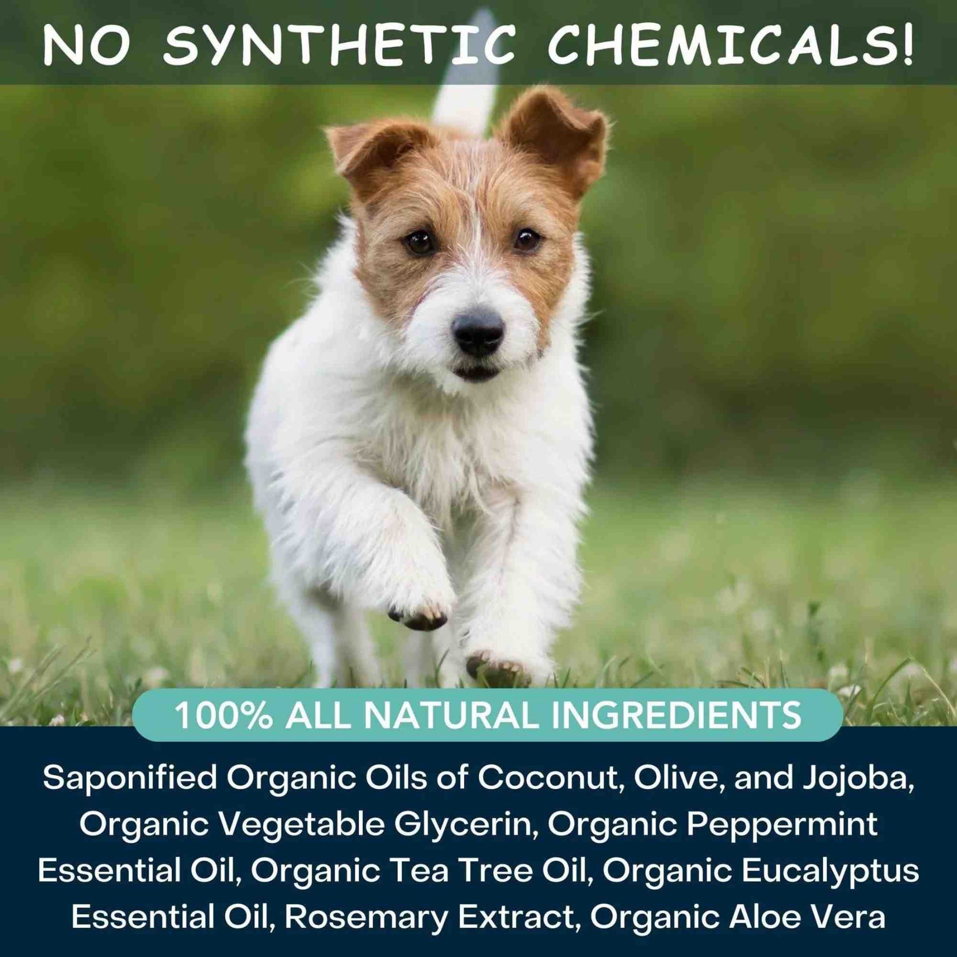 Ingredient list for 4-Legger cooling organic dog shampoo, no synthetics