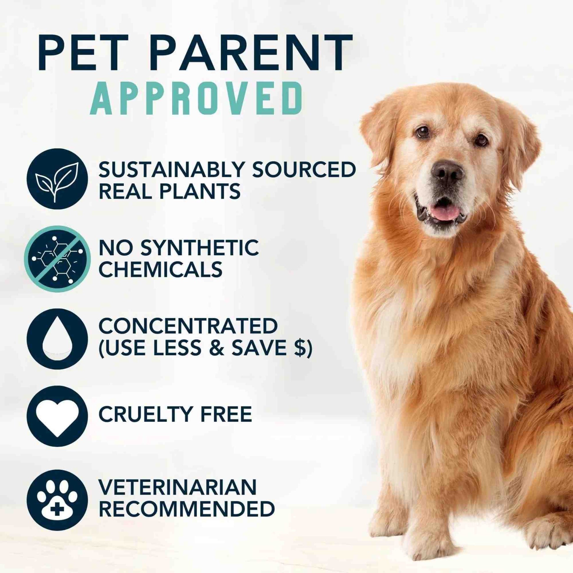 Pet parent approved: 4-Legger cooling organic dog shampoo
