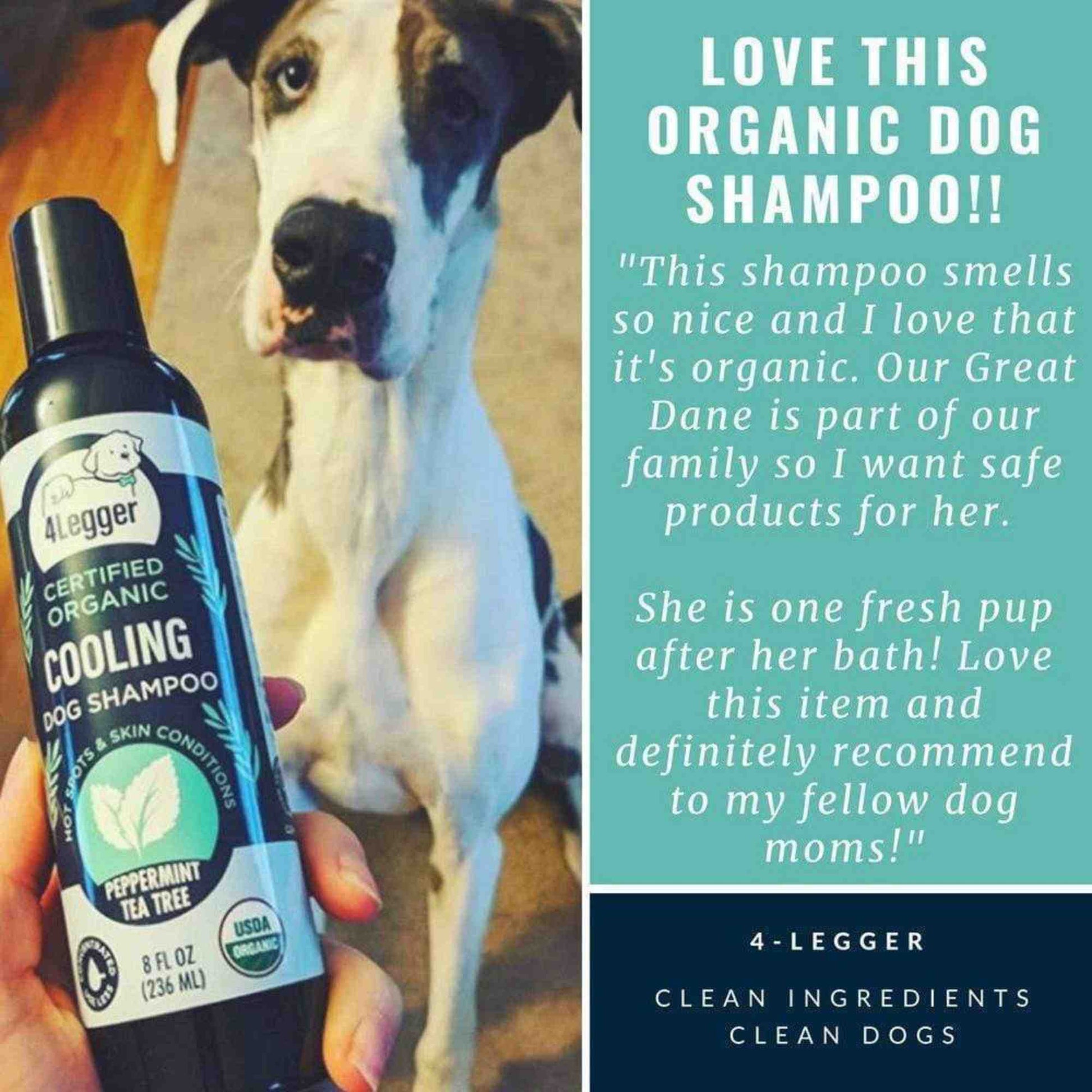 User testimonial: 4-Legger cooling organic tea tree oil dog shampoo