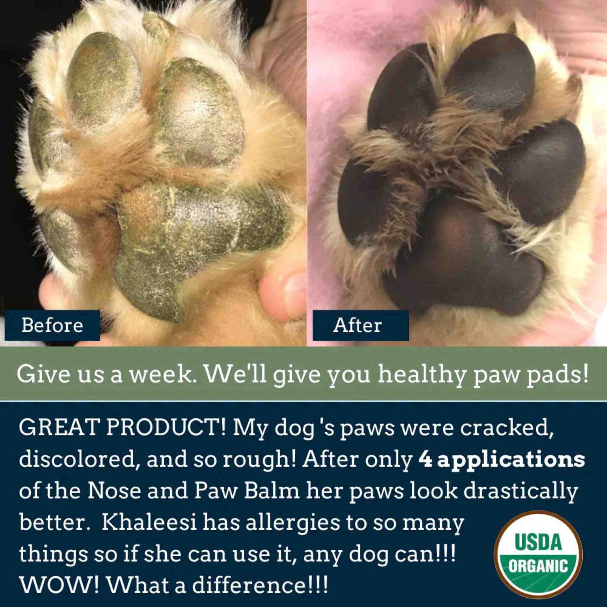Dog nose and paw pads before and after healing 4-Legger healing balm application 