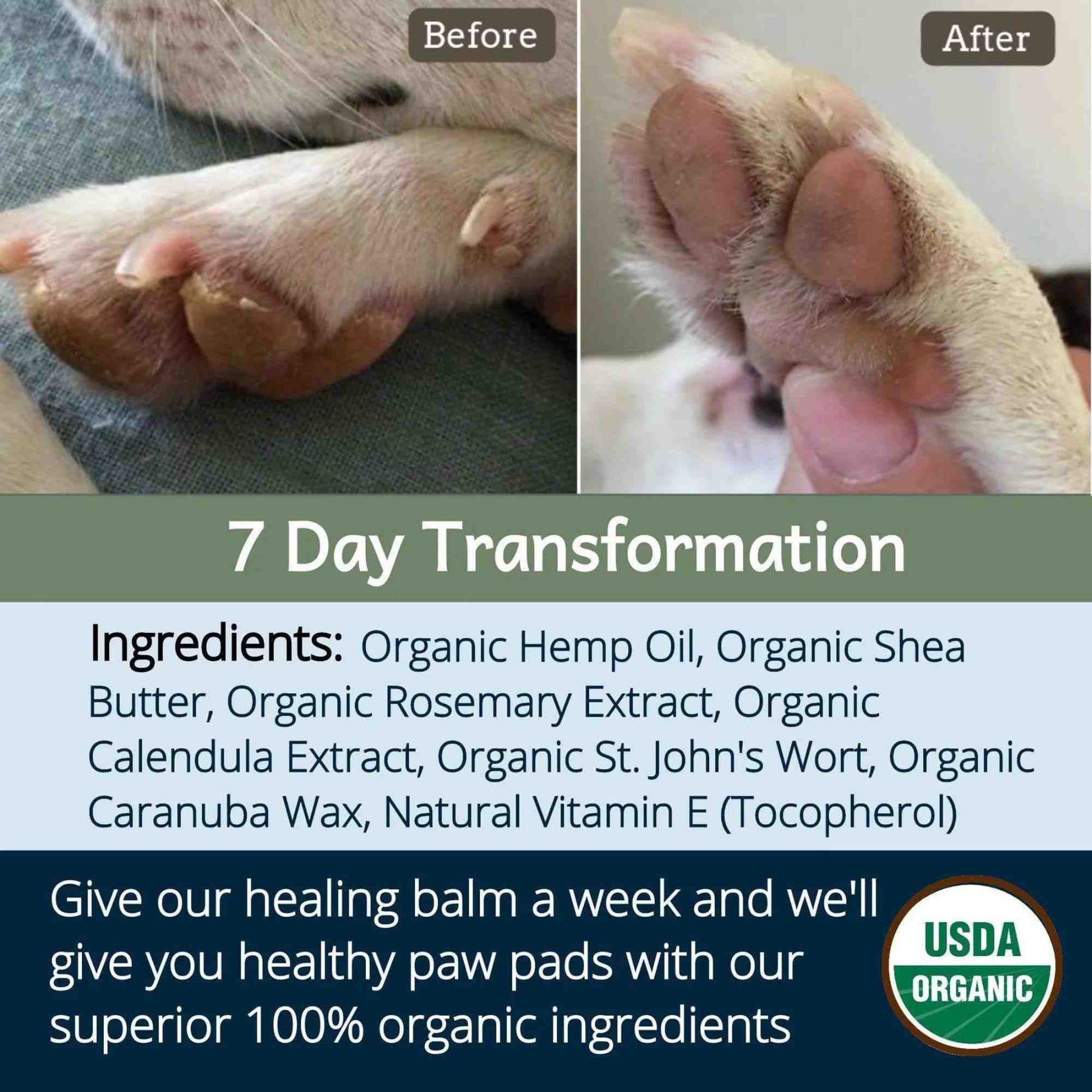 4-Legger Healing balm ingredients with 7 day dog transformation photo