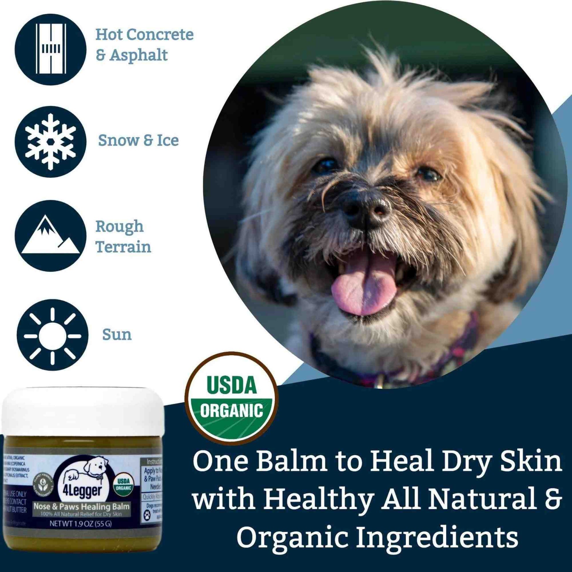 Uses and benefits of organic healing balm for dogs - 4-Legger and Buho Boost