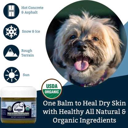 Uses and benefits of organic healing balm for dogs - 4-Legger and Buho Boost