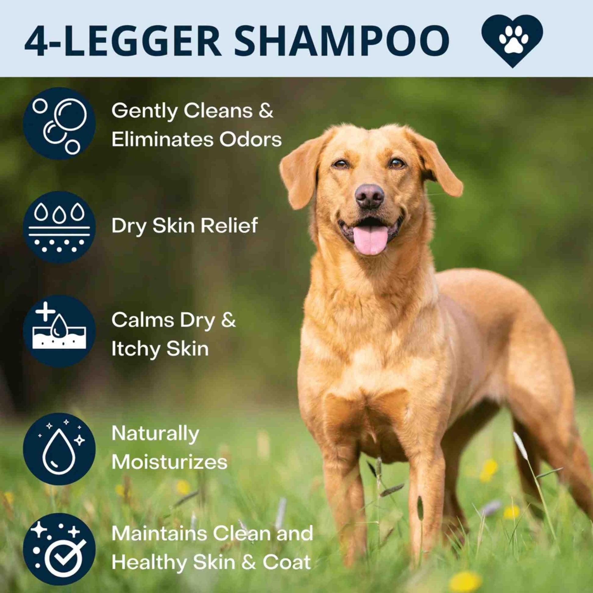 Dog shampoo benefits, organic lavender and calendula formula