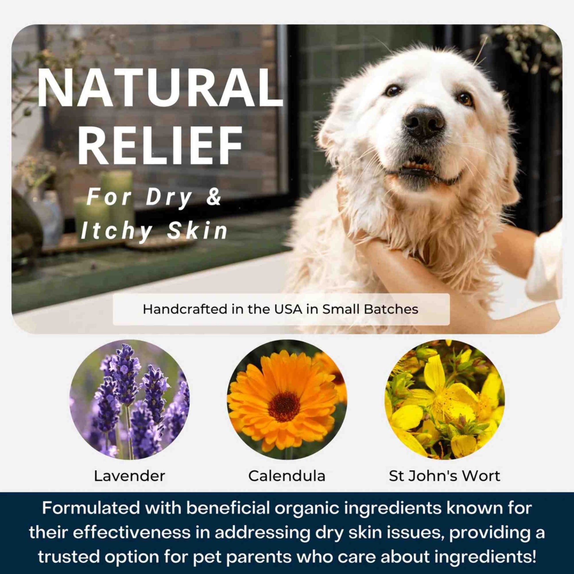 Natural relief dog shampoo, lavender and calendula blend for dogs