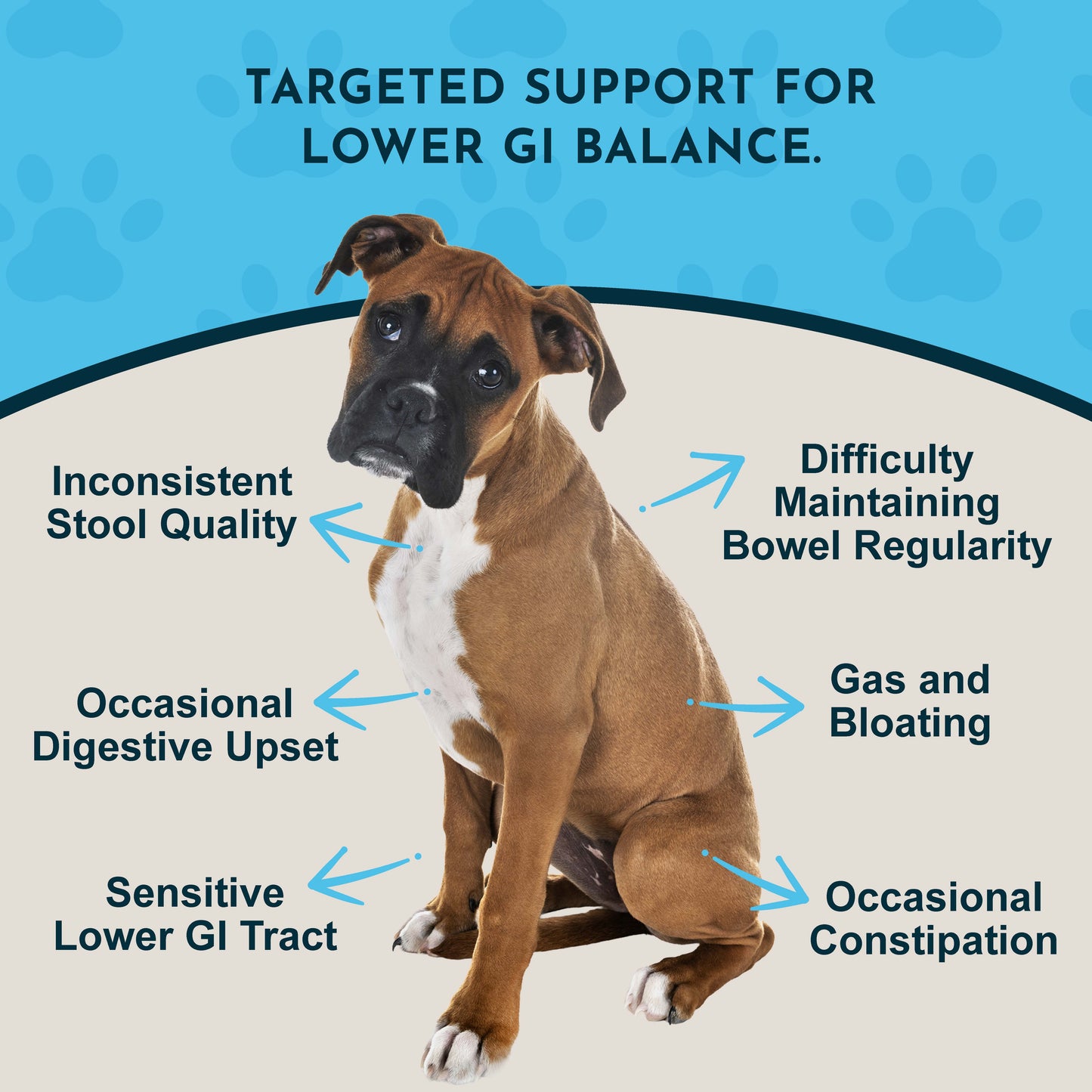 COLON RESCUE | Natural Digestive Support