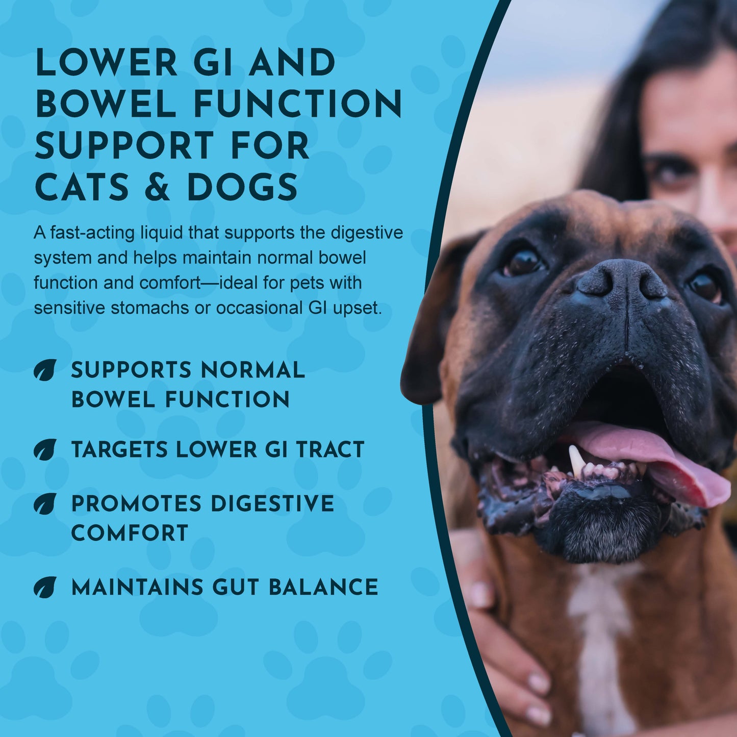 COLON RESCUE | Natural Digestive Support