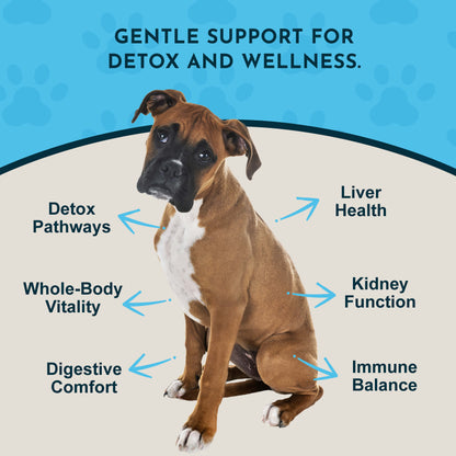 Dog with health benefits of Animal Essentials Detox Blend listed on a blue and white background
