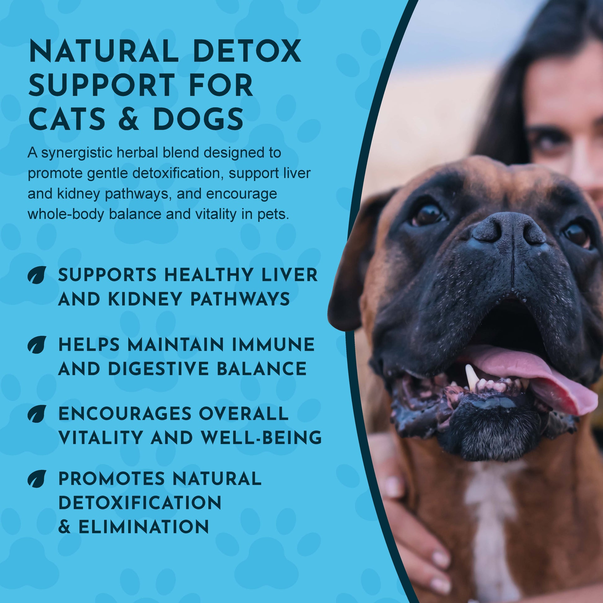 Dog with text about Animal Essentials Detox Blend for pets on a blue background