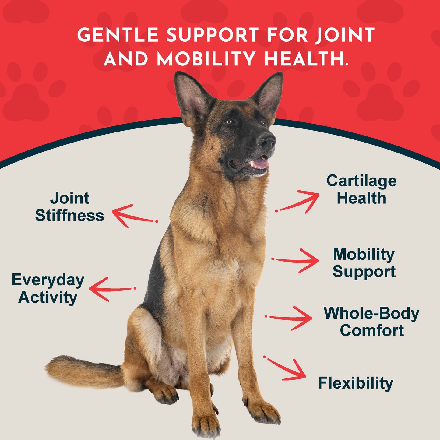 German Shepherd sitting with health benefits text of Animal Essentials Joint Support