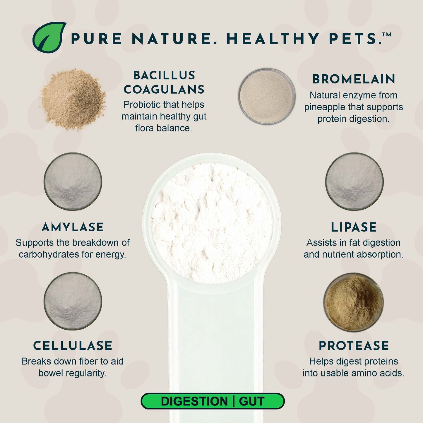 Animal Essentials Plant Enzyme & Probiotic Supplement packaging with digestive enzymes and their benefits on a beige background