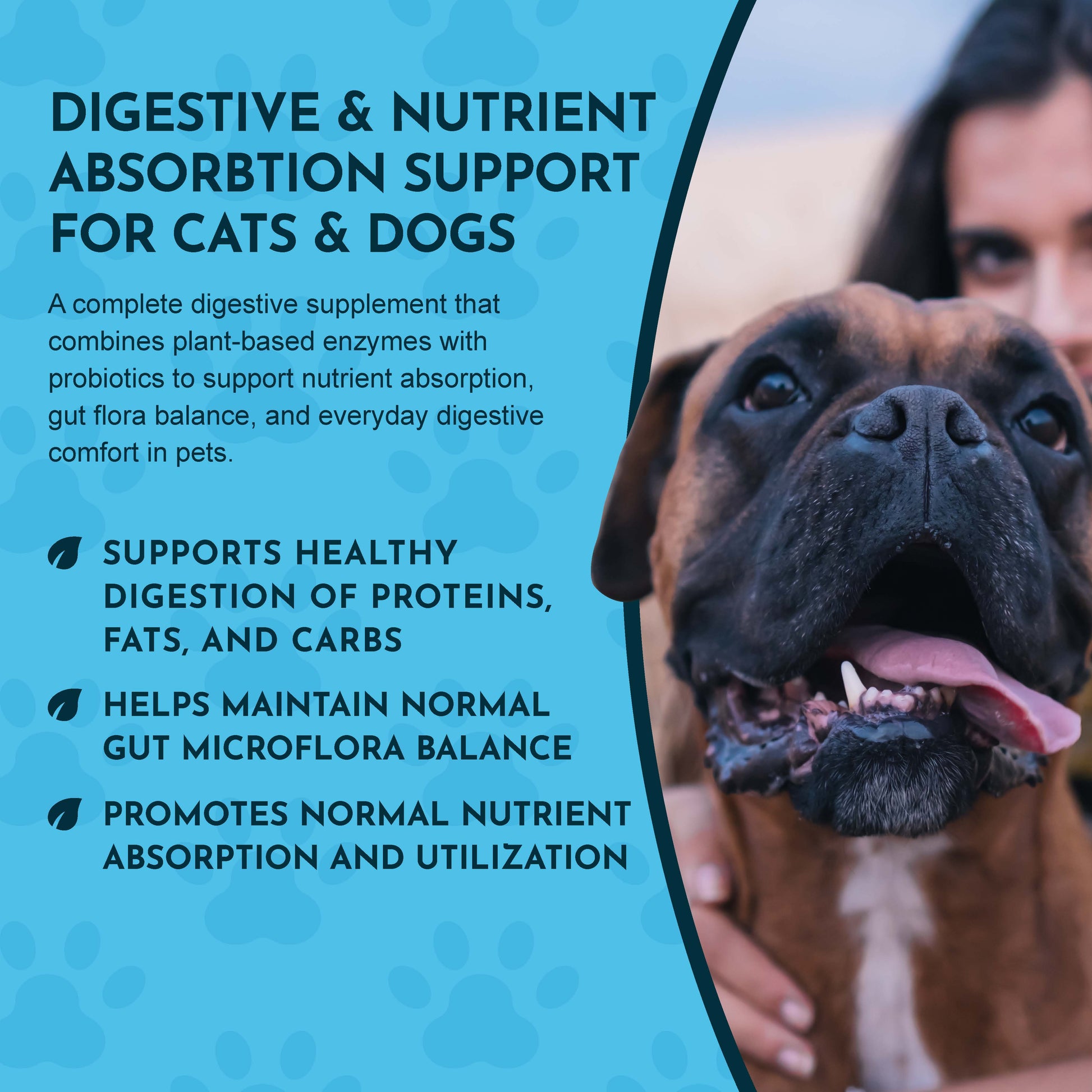 Dog with text about Animal Essentials Plant Enzyme & Probiotic Supplement for pets on a blue background