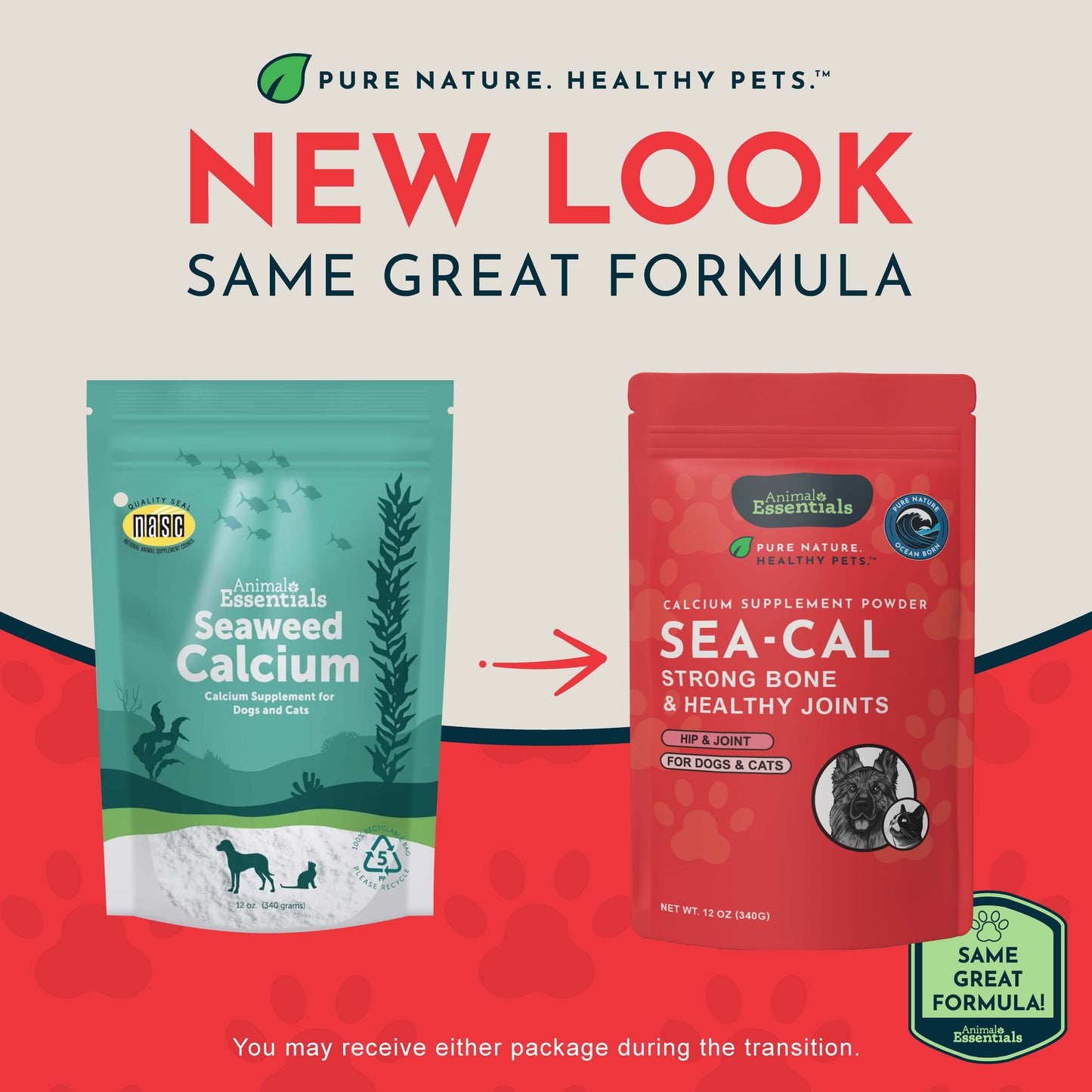 SEA-CAL | Bone and Joint Health