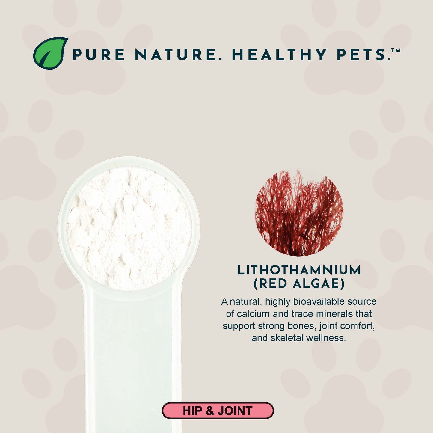 SEA-CAL | Bone and Joint Health