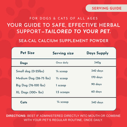 SEA-CAL | Bone and Joint Health