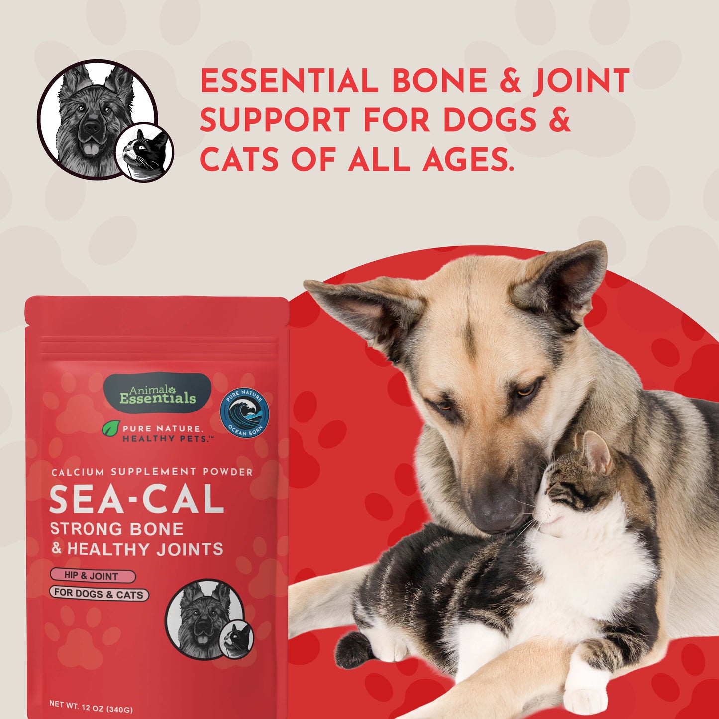 SEA-CAL | Bone and Joint Health