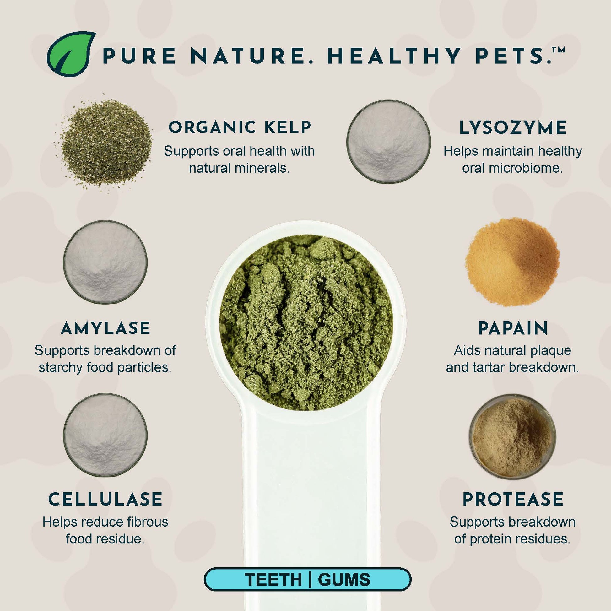 Product ingredients for Animal Essentials Sea-Dent anti-plaque powder with images and descriptions on a beige background