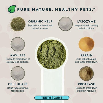 Product ingredients for Animal Essentials Sea-Dent anti-plaque powder with images and descriptions on a beige background