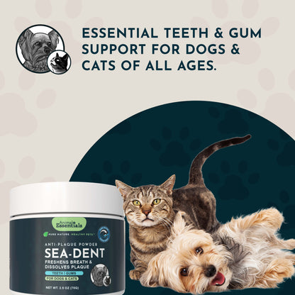 Animal Essentials Sea-Dent anti-plaque powder with a cat and dog on a beige background