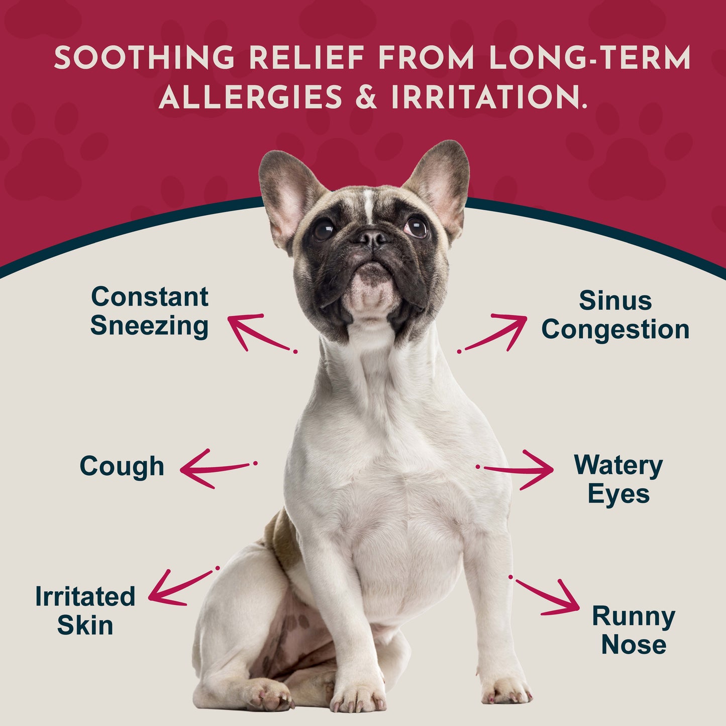 SEASONAL ALLERGY POWDER | Natural Allergy Defense