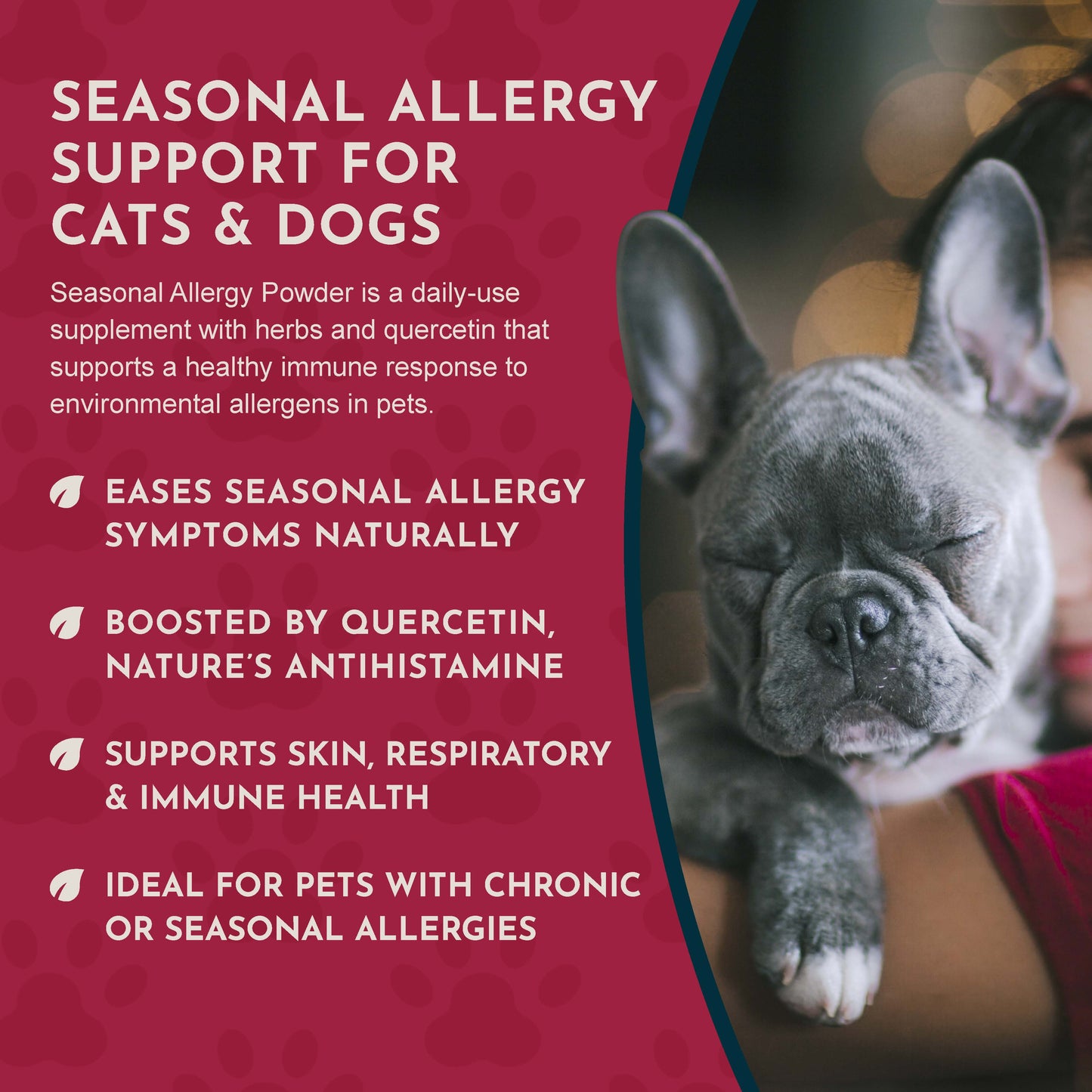 SEASONAL ALLERGY POWDER | Natural Allergy Defense