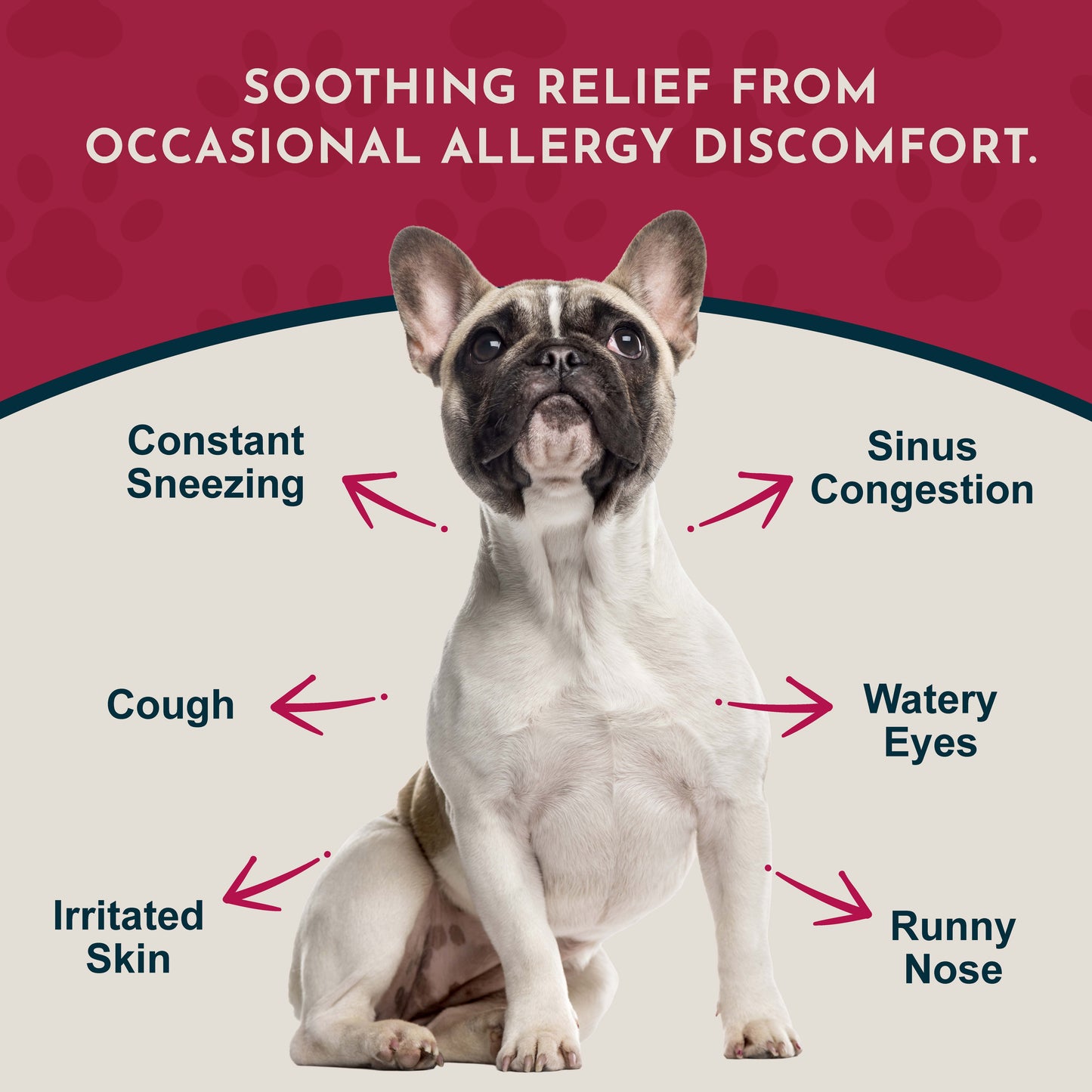 SEASONAL ALLERGY | Natural Allergy Relief