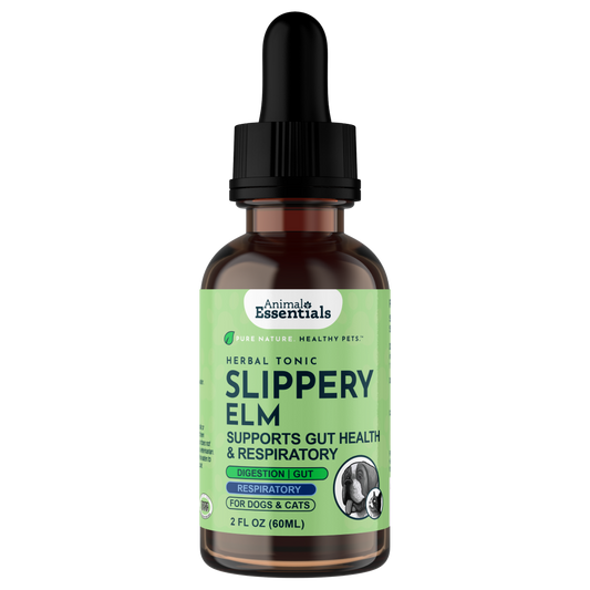 SLIPPERY ELM | Digestive Support
