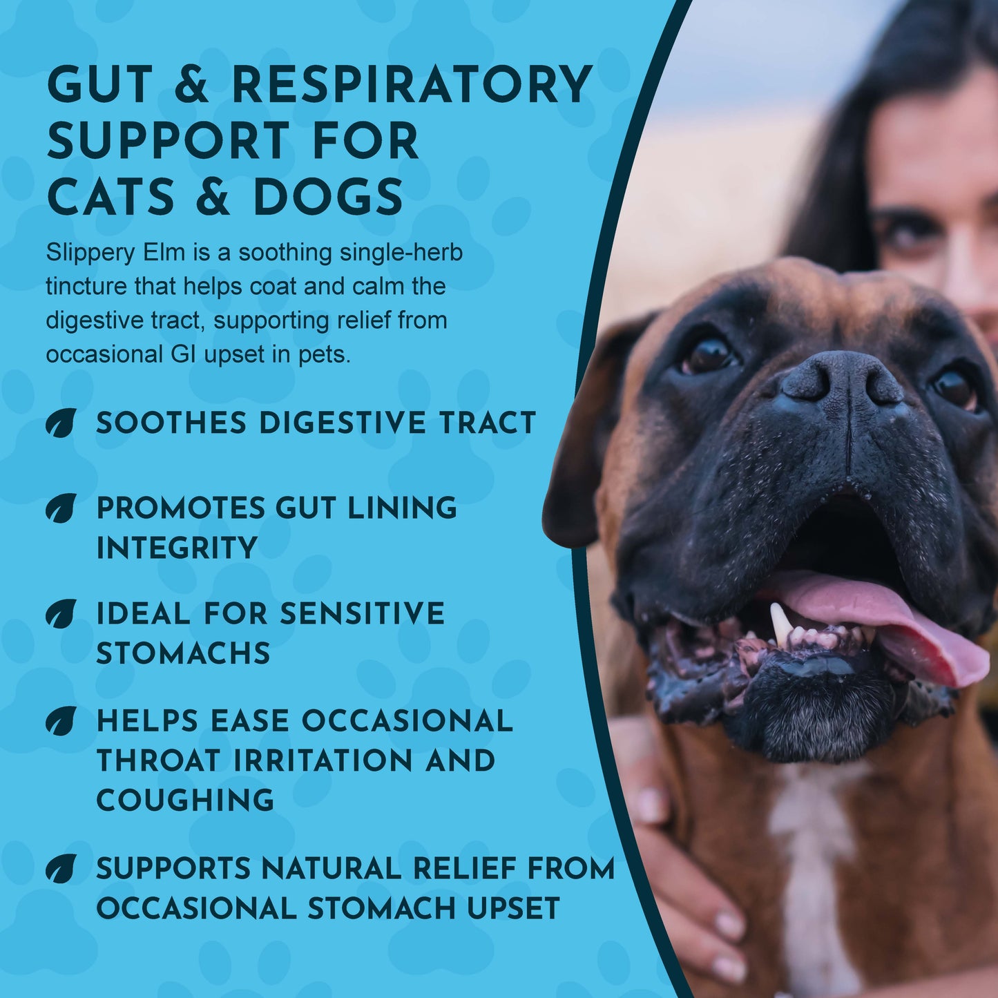 SLIPPERY ELM | Digestive Support