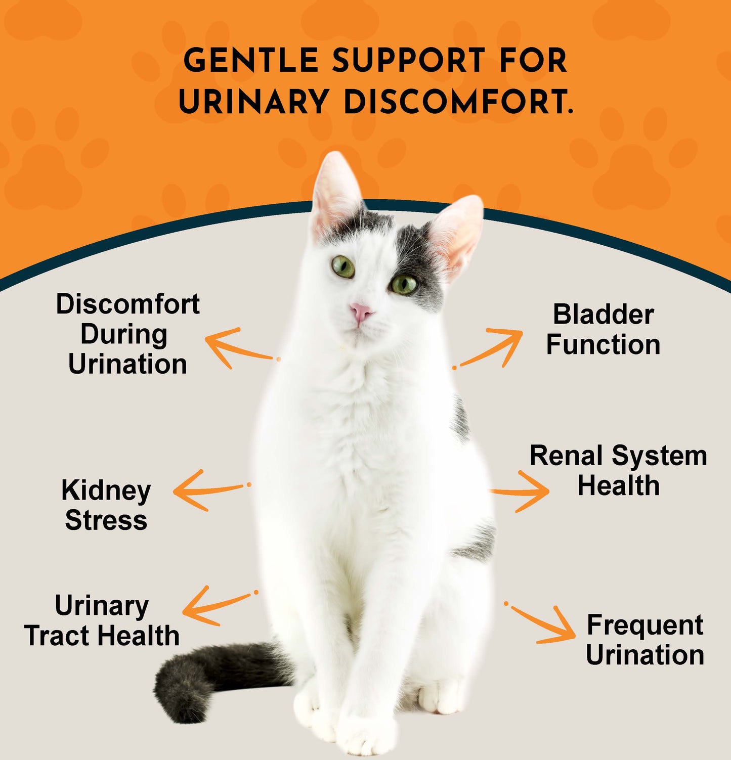 TINKLE TONIC | Urinary Tract Support