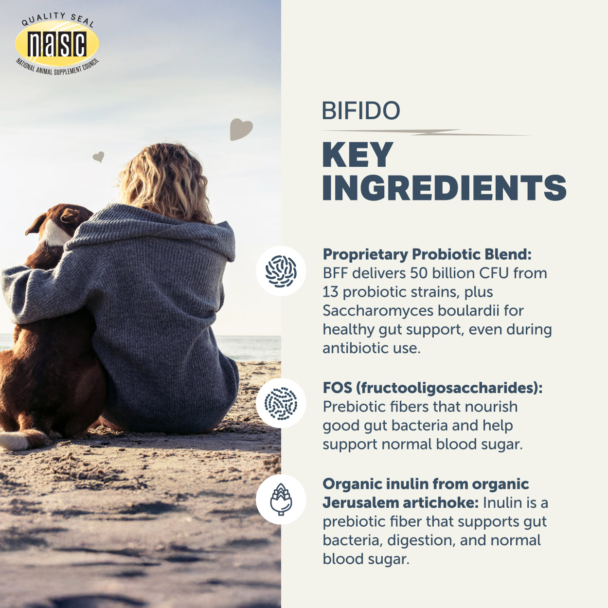 Person and dog sitting on a beach with NASC logo and Four Leaf Rover Bifido for Fido key ingredients text overlay.