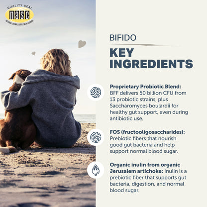 Person and dog sitting on a beach with NASC logo and Four Leaf Rover Bifido for Fido key ingredients text overlay.
