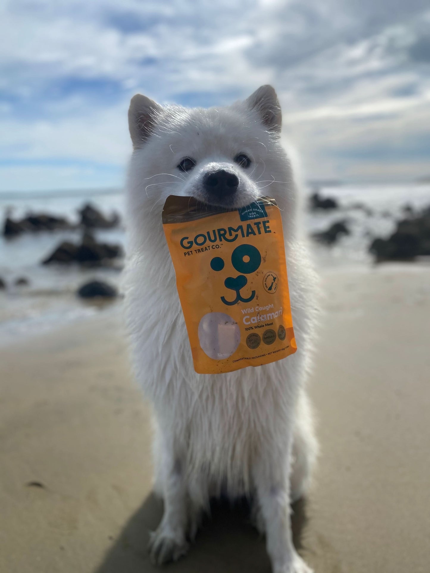 Gourmate Wild Caught Calamari natural dog treat with white dog