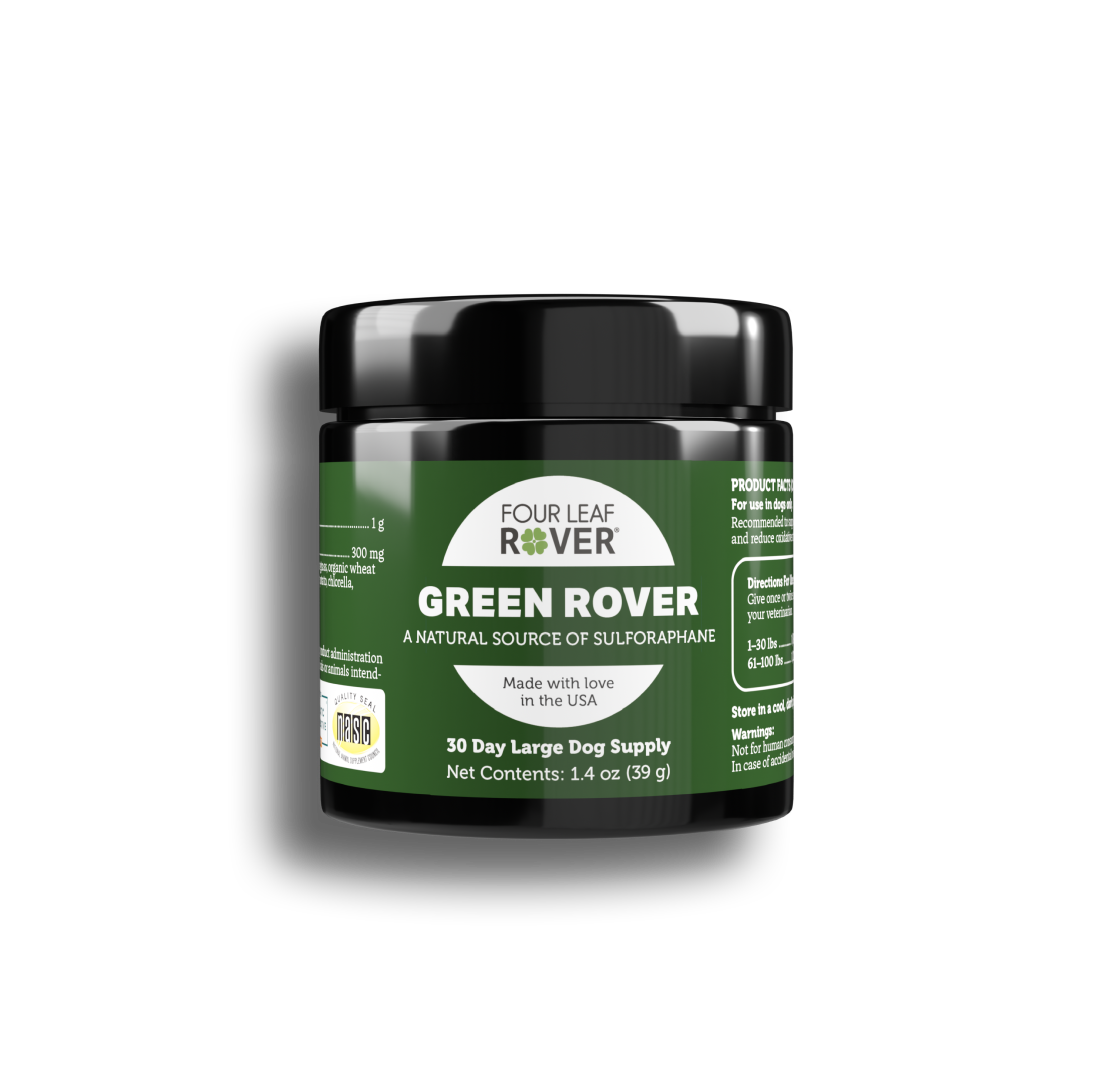 Green Rover supplement jar with black lid on a white background