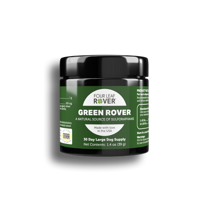 Green Rover supplement jar with black lid on a white background