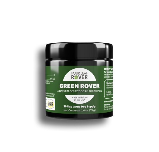 Green Rover supplement jar with black lid on a white background