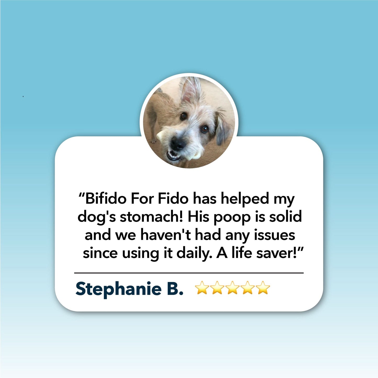 Bifido For Fido review card with a dog's face and text on a blue background