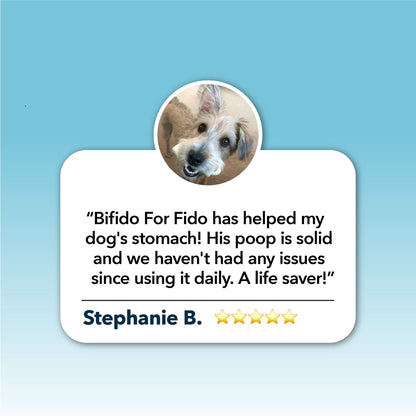 Bifido For Fido review card with a dog's face and text on a blue background