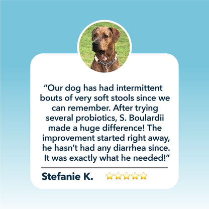 S. Boulardii testimonial with a blue background and a dog's face in a circle above the text.