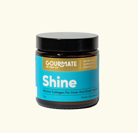Gourmate Pet Treat Co. Shine supplement jar on a white background