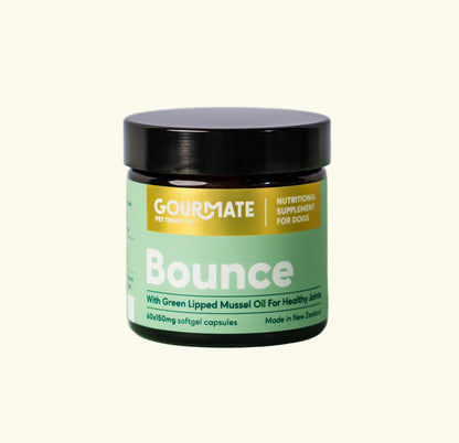 Gourmate Bounce supplement jar on a green background