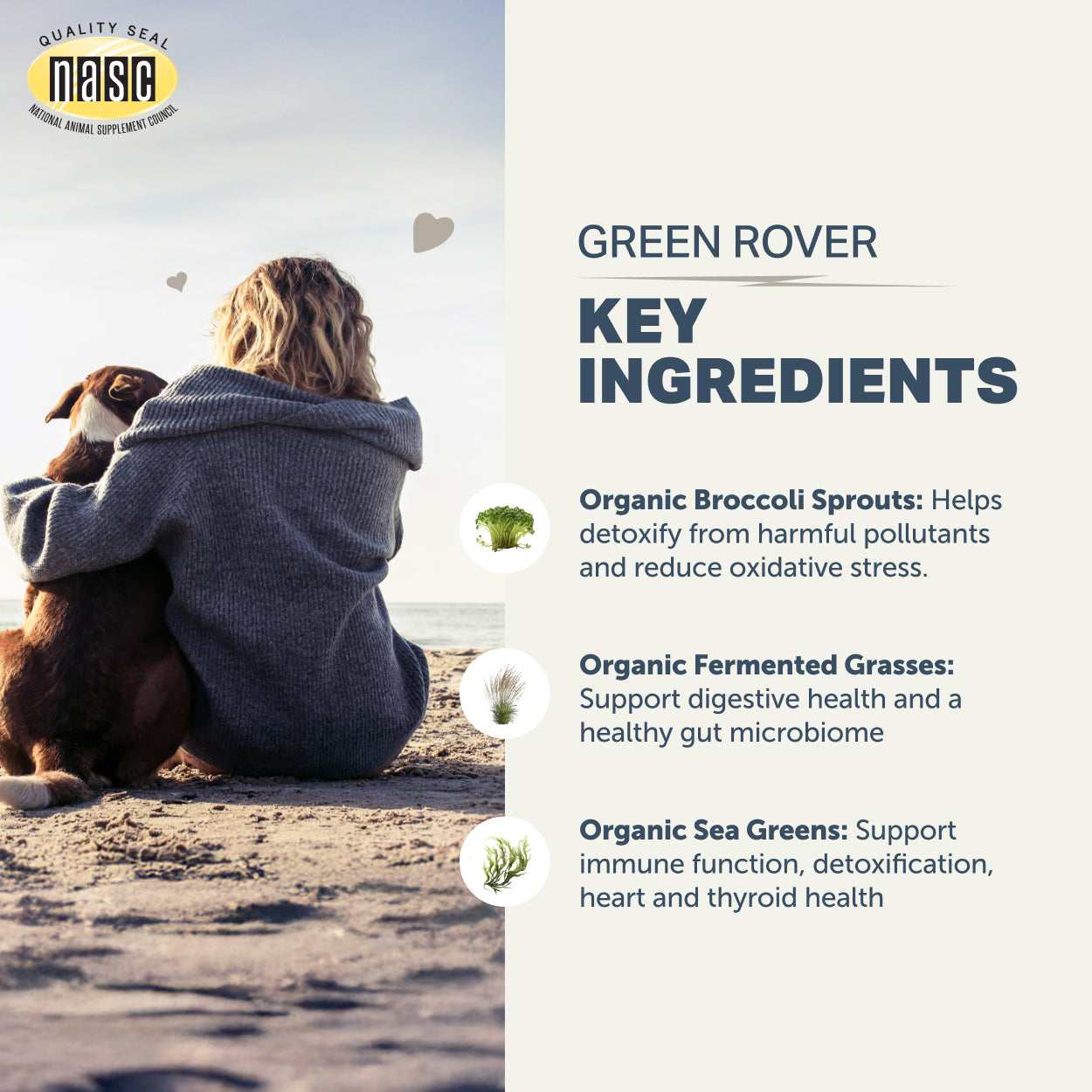 Person and dog sitting on a beach with key ingredients of Green Rover by Four Leaf Rover listed on the right.