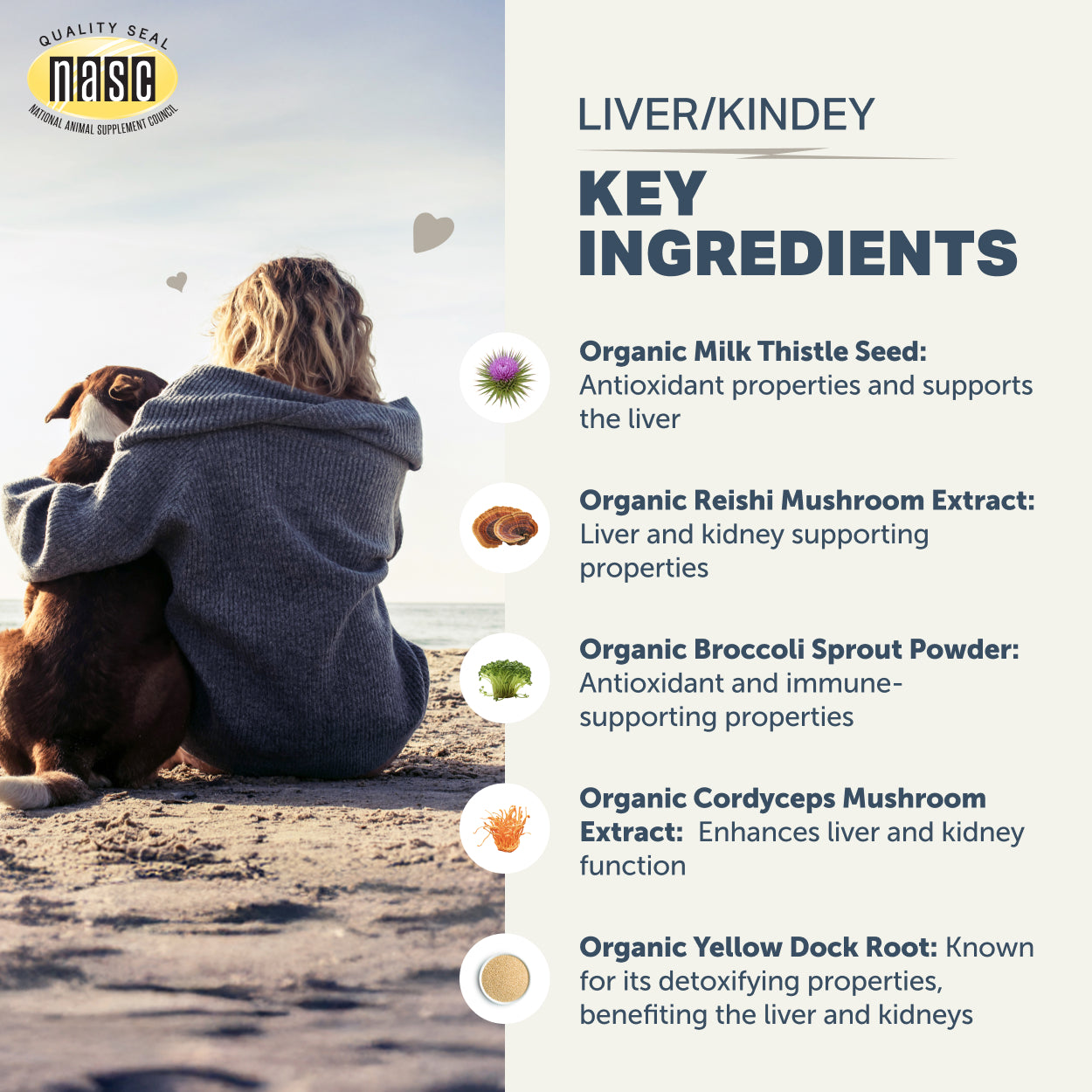 Person and dog sitting on a beach with Liver/Kidney Clean supplement by Four Leaf Rover details overlay.