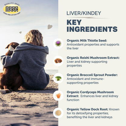 Person and dog sitting on a beach with Liver/Kidney Clean supplement by Four Leaf Rover details overlay.