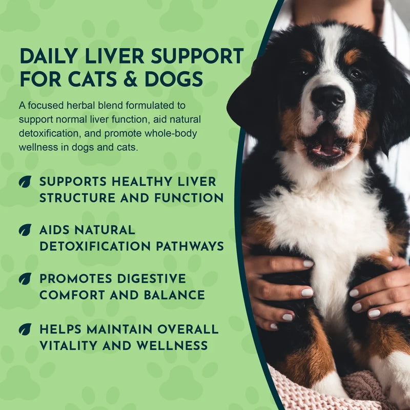 Promotional graphic for Animal Essentials Liver Defense herbal blend for cats and dogs. The left side has a light green background with dark green paw-print motifs, dark teal text, and bullet points about liver support, detoxification, and digestive comfort.